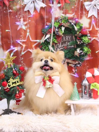 20231229梛都ちゃん